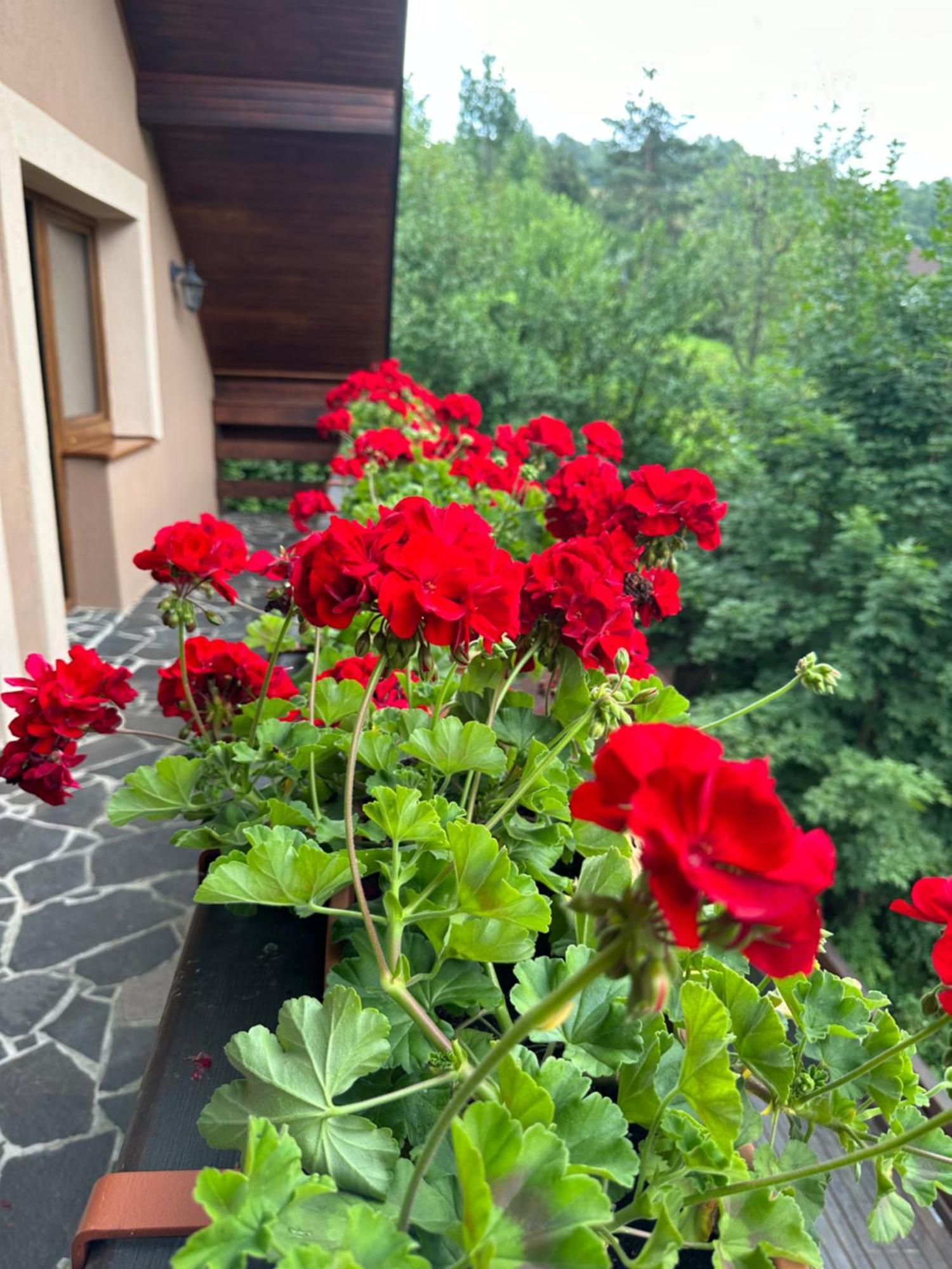 Holiday Home Skalka Mýto pod Ďumbierom Buitenkant foto